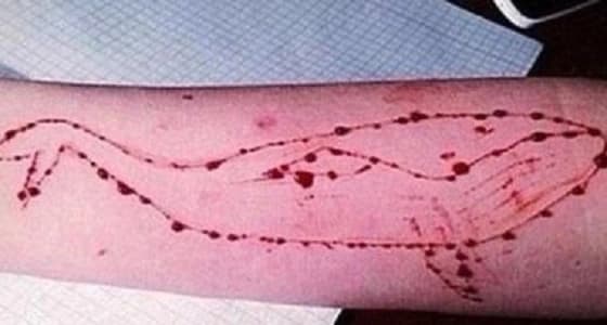 ضحية جديدة للعبة " الحوت الأزرق " القاتلة