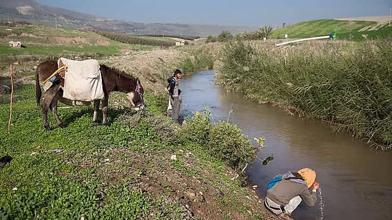 مزارعون أردنيون يتجهون إلي تطبيقات الهاتف لمساعدتهم في الزراعة .. فيديو