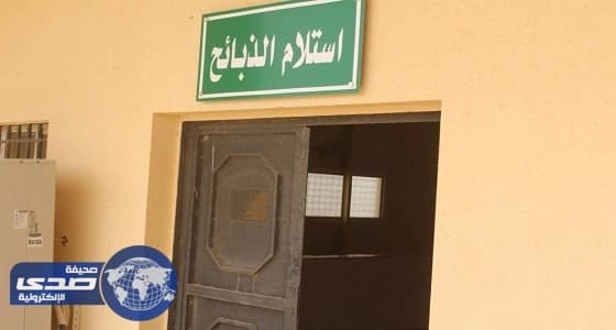 بالصور.. رئيس البلدية: الذبح مجانًا في المسلخ البلدي بشعبة نصاب