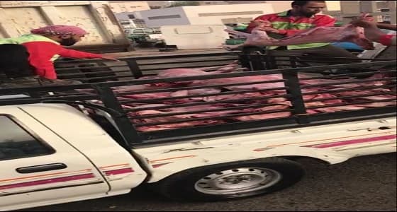 مصادرة 100 رأس من الذبائح مجهولة المصدر بمكة