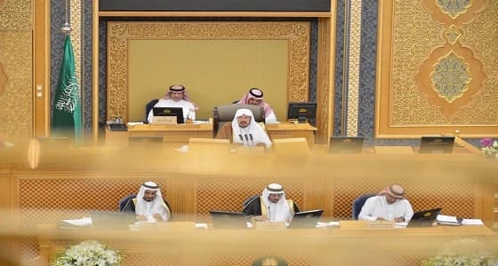 لجنة بالشورى توافق على توصية للمساواة في الأجور بين الجنسين