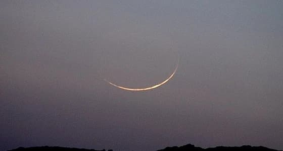 فلكية جدة: رصد عنقود النجوم المفتوح NGC 2451 مساء اليوم