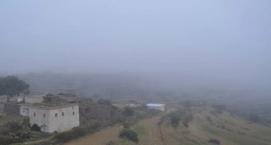 الإنذار المبكر يحذر من ضباب يعيق الرؤية في بعض المناطق
