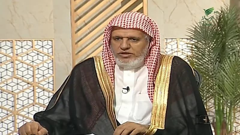 الشبل يوضح حكم إطعام القطط السائبة من طعام المنزل.. فيديو