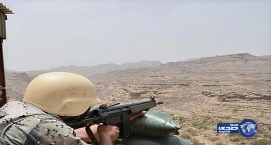 بالصور.. أمانة نجران تضبط أغناما مريضة قبل بيعها للزبائن