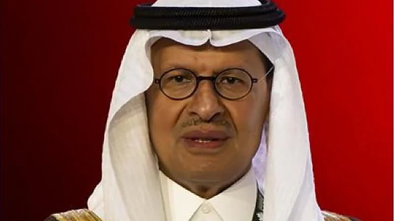 الأمير عبد العزيز بن سلمان: المملكة ومصر ستوقعان اتفاقية بشأن كفاءة الطاقة