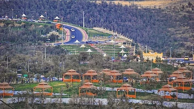 فيديو.. تفاصيل تعدي مقاول على مقبرة في الباحة