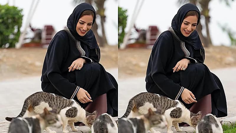 إنسانية السيدة الجليلة حرم سلطان عمان وهي تطعم القطط في مشهد مؤثر.. فيديو