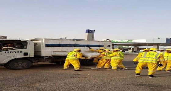 بالصور.. أمانة الرياض تشن حملات على باعة الحطب المخالفين