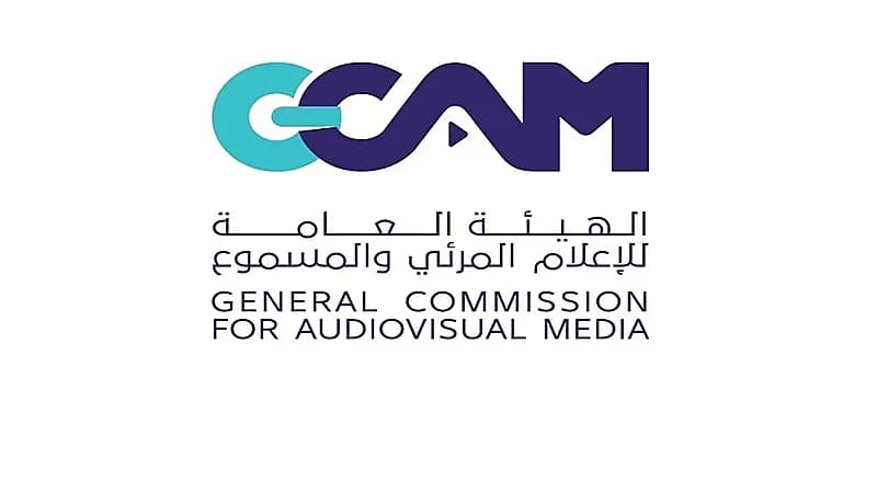 الهيئة العامة للإعلام المرئي والمسموع تمهل الصحف الإلكترونية 45 يومًا لتصحيح أوضاعها