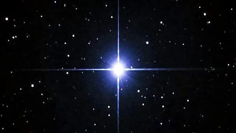 المسند: غدًا دخول طالع الجبهة