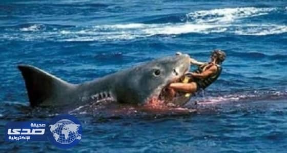 مصرع أسترالية في هجوم قرش بأحد الشواطئ