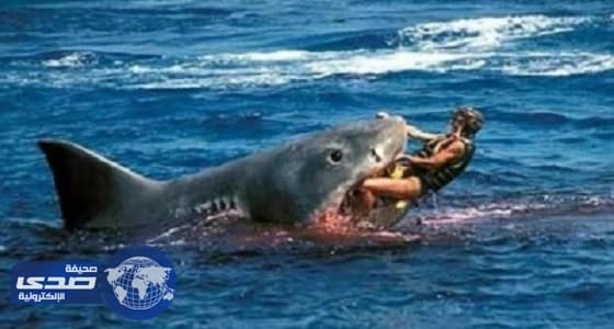 مصرع أسترالية في هجوم قرش بأحد الشواطئ