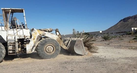 بالصور.. إزالة تعديات في طريق الهجرة بمساحة 35000 متر
