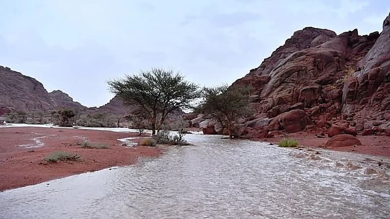 شاهد.. لحظة هطول أمطار غزيرة على حائل