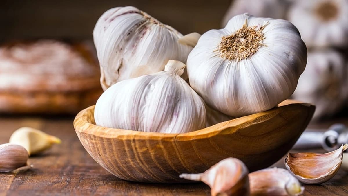 الحداد يوضح تأثير تناول فص ثوم مرتين أسبوعيًا على الجسم .. فيديو