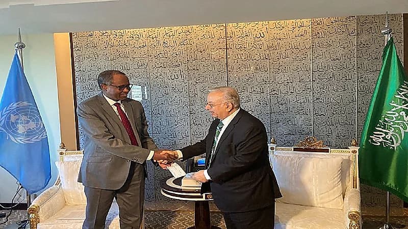 المملكة تقدم دعماً بمبلغ مليون دولار لخطة عمل وأنشطة وبرامج منظمة اليونيسيف