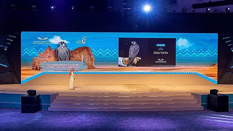 مزاد نادي الصقور يُضفي الإثارة في أول ليالي المزاد