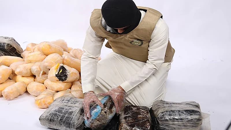 إحباط محاولة تهريب 233 كيلو جرامًا من الحشيش المخدر بالمنطقة الشرقية(فيديو)