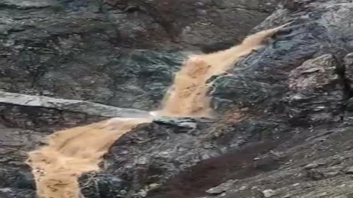 سبب انتقال " نيانج " إلى الأهلي