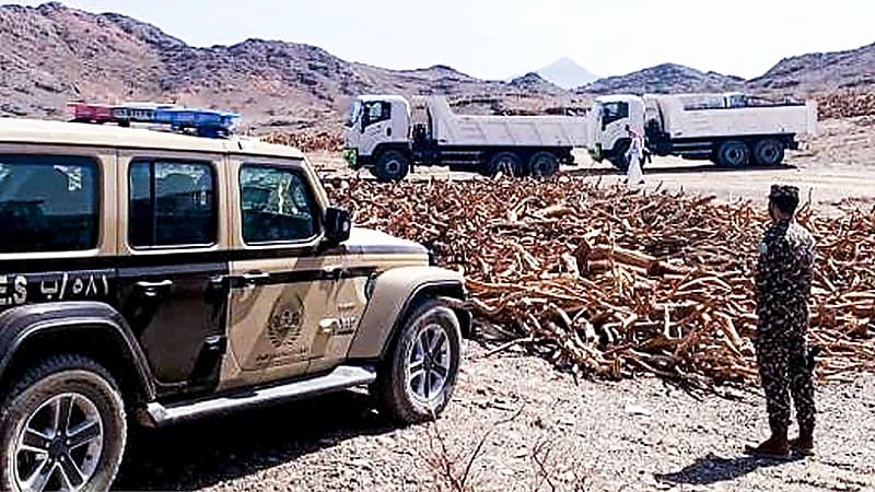 الأمن البيئي يضبط موقعًا مخالفًا لنظام البيئة استُخدِم لتخزين الحطب المحلي