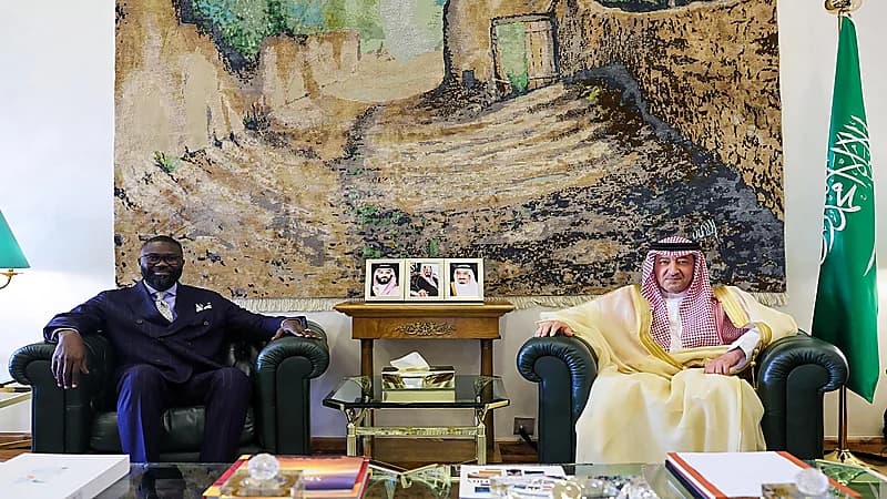 نائب وزير الخارجية يستقبل رئيس البعثة الإقليمية للجنة الدولية للصليب الأحمر