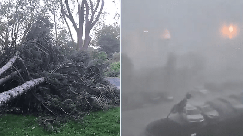 شاهد.. عواصف عنيفة في كندا تؤدي لمقتل 4 أشخاص