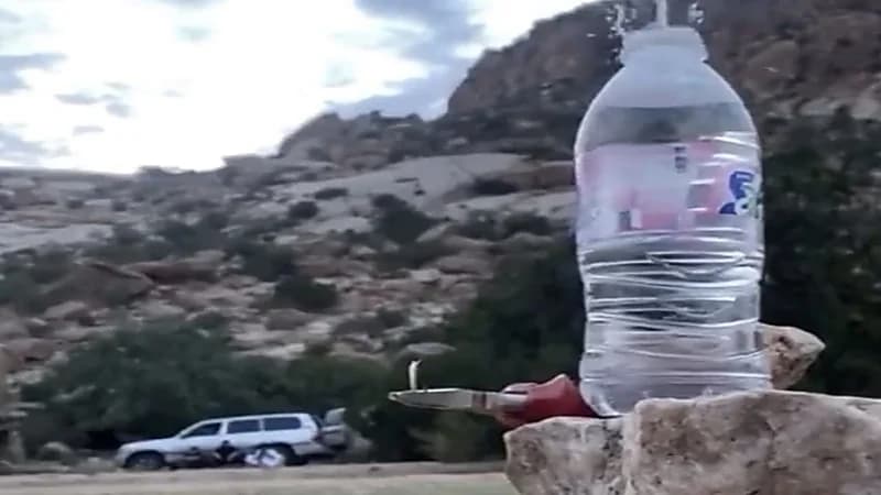 شاهد.. شخص يصوب على زجاجة ماء ويفتح الغطاء دون إسقاطها ورئيس اتحاد الرماية يتفاعل