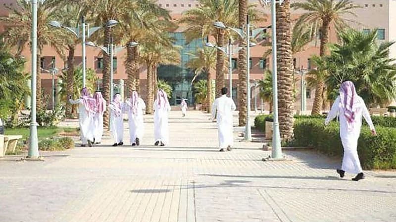 اليماني : التحول إلى نظام 3 فصول يحتاج إلى ترتيب كامل (فيديو)