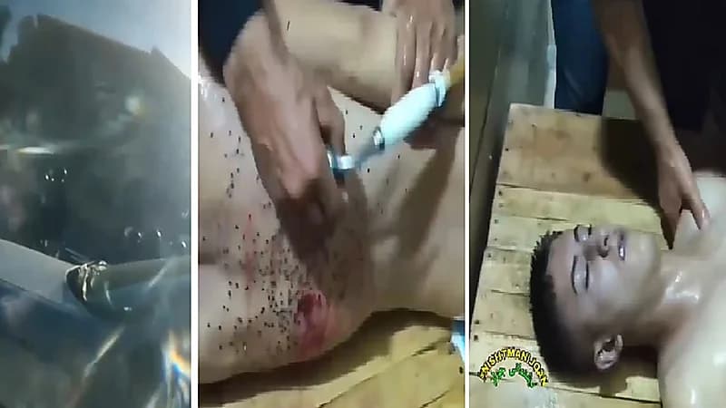 بالفيديو ..رصاص مرتزقة الملالي يدمر جسد شاب ويثير الرعب في نفوس عائلة داخل مركبتهم