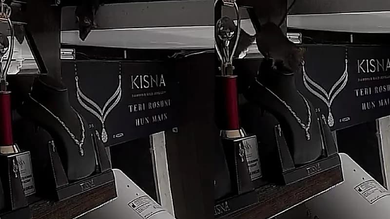 بالفيديو .. فأر يسرق عقداً من الألماس