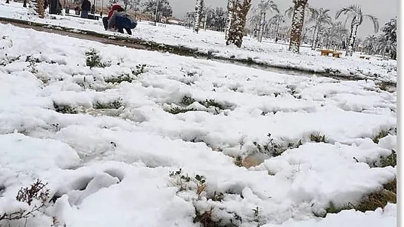 شاهد.. جبال اللوز تكتسي بالبياض بعد تساقط الثلوج