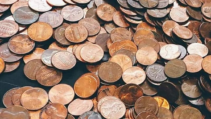 عائلة تستغني عن كنز بـ 1.7 مليون دولار !