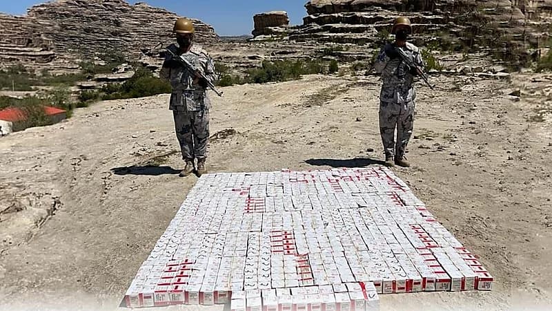 إحباط تهريب 124050 قرص خاضع لتنظيم التداول الطبي بعسير