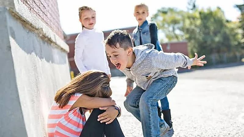 مجلس شؤون الأسرة يوضح كيفية التعامل مع الطفل المتنمر