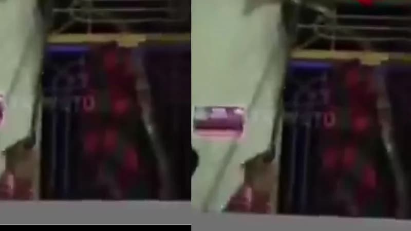 ثعبان ضخم يثير الرعب داخل فندق .. فيديو