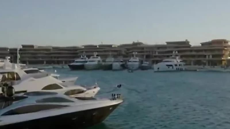 السياحة: المملكة لديها أنماط ومواصفات سياحية تناسب السياح عالميا ..فيديو