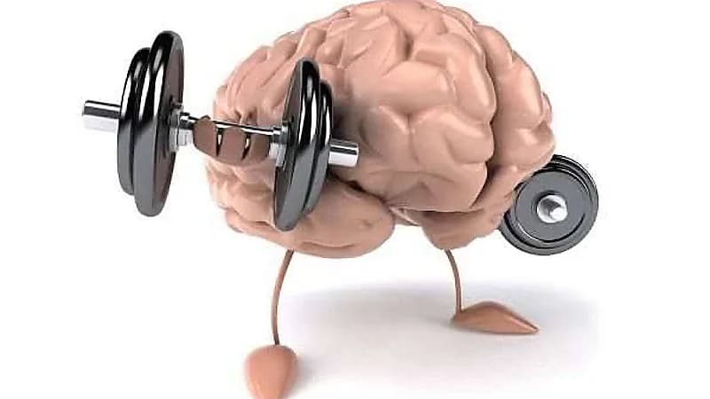 مهارات يلجأ إليها أبطال العالم لذاكرة حديدية