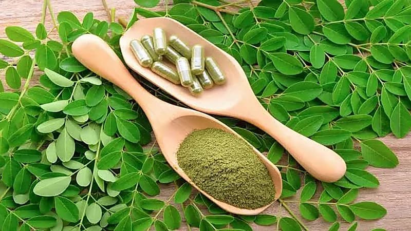 النمر يحذّر من الترويج الخاطئ للمورينغا: لا تعالج الضغط ولا أمراض القلب