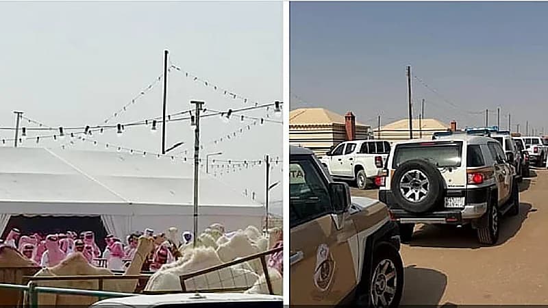 البيئة توقف مزاد  غير نظامي للإبل في الرياض