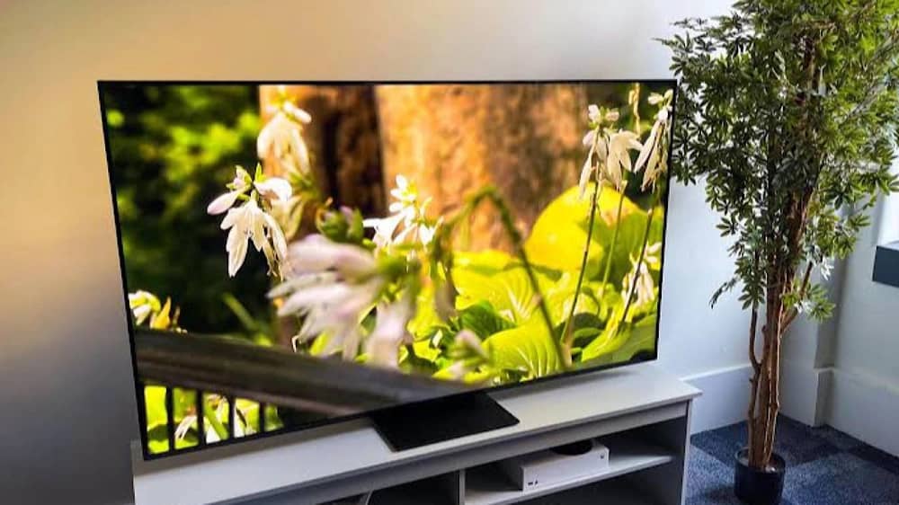 WhatsApp Image 2025-11-16 at 5.58.13 PM.jpeg