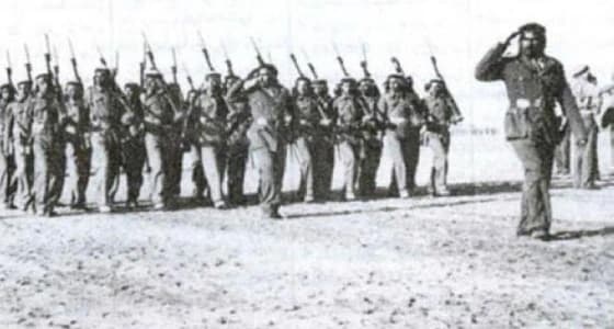 صور.. باحث تاريخي يرصد تضحيات المملكة بالمال والدماء على الأراضي الفلسطينية