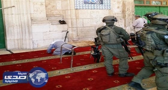 فلسطين: صمت المجتمع الدولي بلغ حد التواطؤ مع جرائم الاحتلال