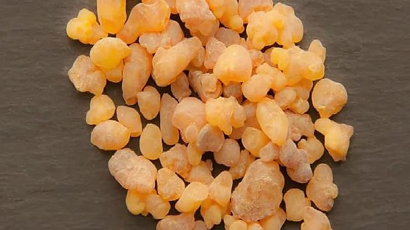 "الغذاء والدواء" توضح فوائد ومحاذير تناول مادة "المر"