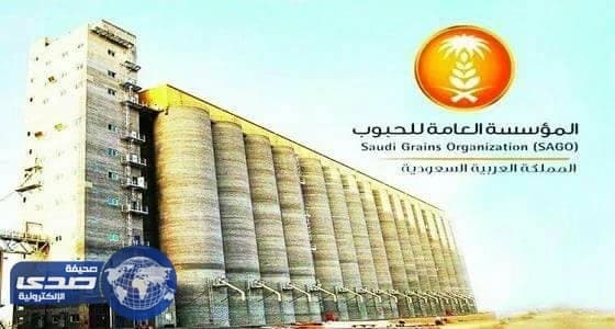 رفع نسبة المستفيدين من منتجات الدقيق في مكة والمدينة