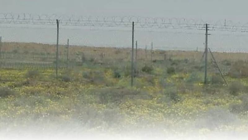 حرس الحدود يُحذر هواة البر والمتنزهين بعدم الاقتراب من حرم الحدود