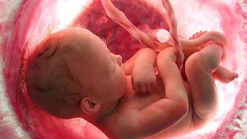 سيدة تكتشف بالصدفة حملها بجنين بعمر 5 شهور