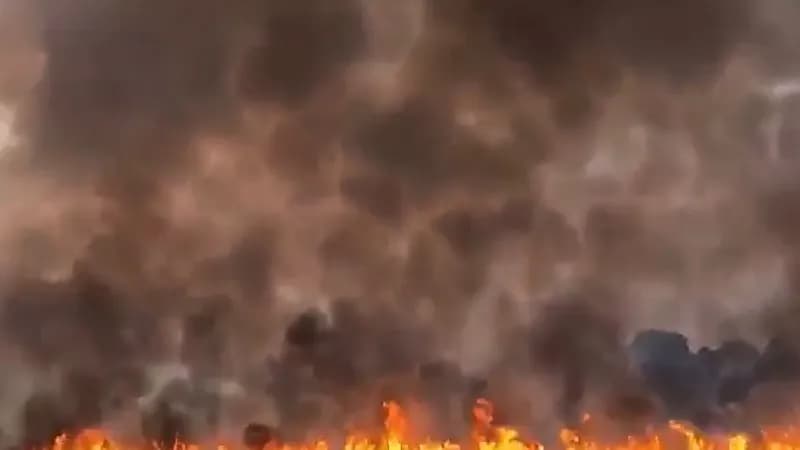 بالفيديو.. اللهب يأكل الأشجار والدخان يعانق السماء في بريطانيا