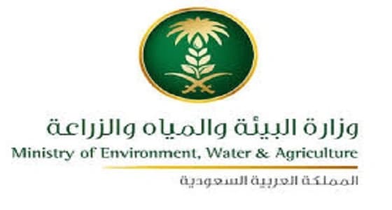 " البيئة " تخاطب " النقل " و " الشؤون البلدية " بشأن قطع الأشجار