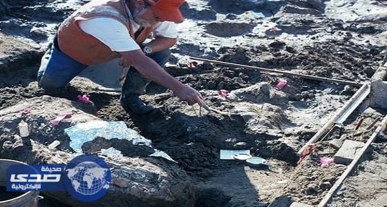 اكتشاف حفريات ترجع لـ 130 الف سنة تحفر اسم أمريكا فى التاريخ
